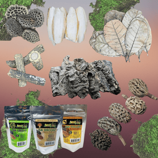 NUTRITION & BOTANICALS