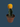 GRAFTED MOON CACTUS (4 COLOR OPTIONS)