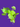 NEON PHILODENDRON PLANT