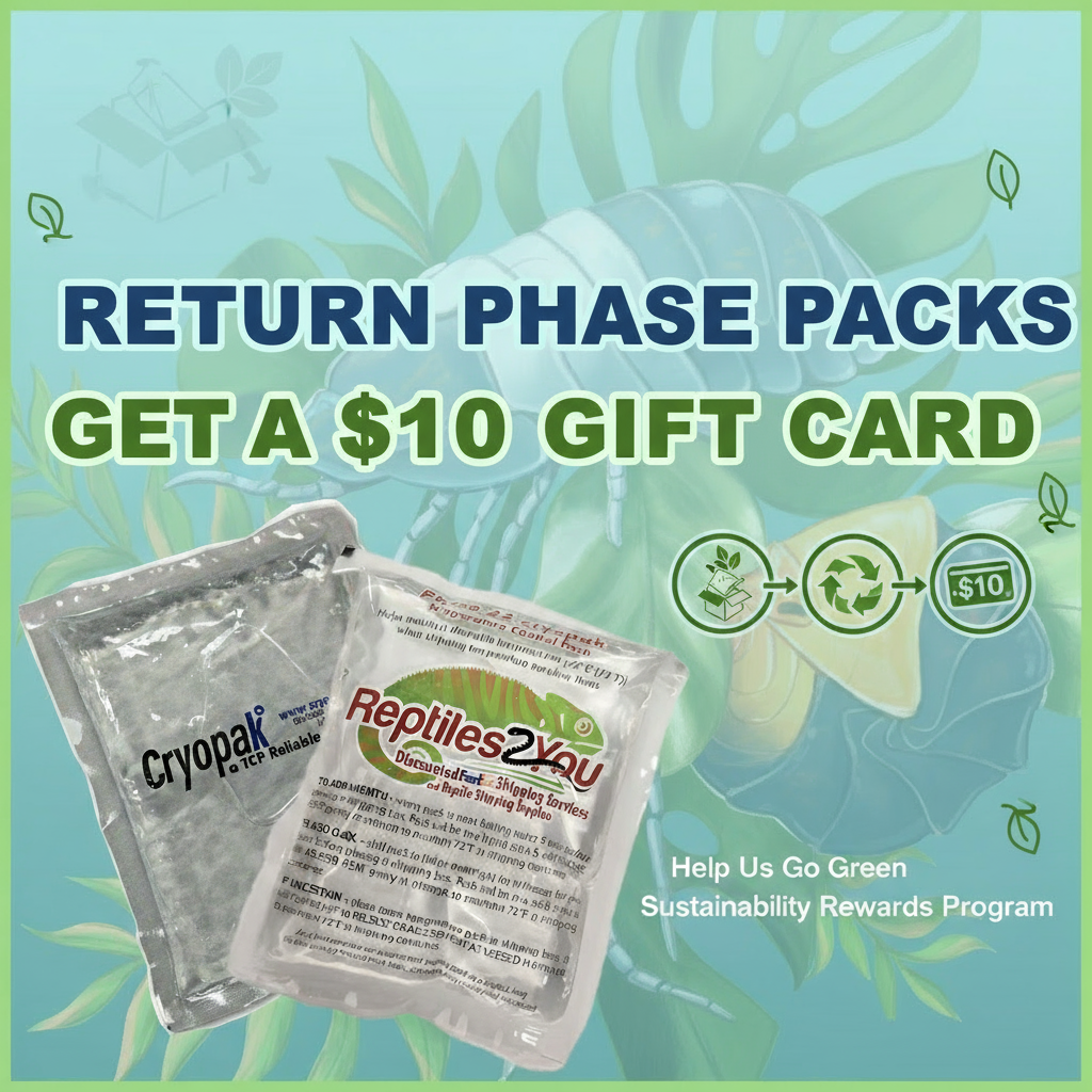 Phase 22 Pack Return Program - Explicit Text